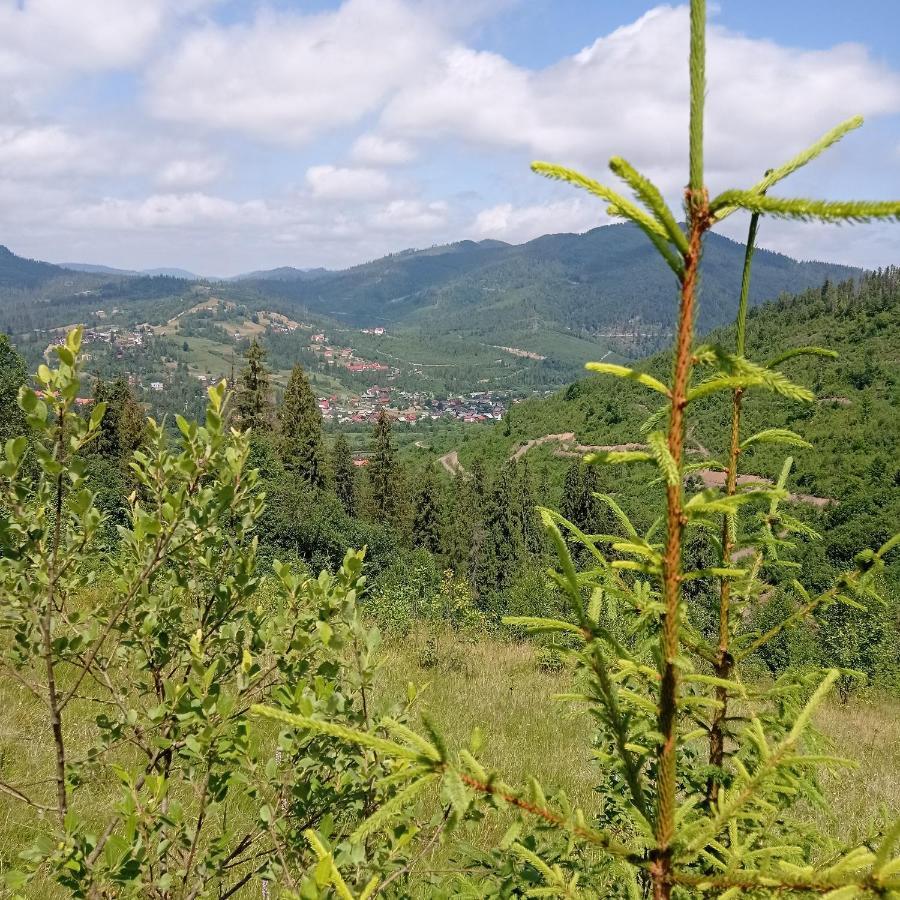 Ecottage Котедж Для Двох У Горах Із Чаном-Джакузі Slavske Exterior photo